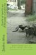 Chats errants ou d'elevage clandestin - Guide pratique pour les maires, elus, refuges, fourrieres, associations, et...