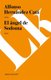 Angel de Sodoma (Paperback): Alfonso Hernandez Cata