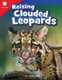 Raising Clouded Leopards (Paperback): Lisa MacDonald