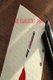 The Bleeding Pen (Paperback): Gerald Green
