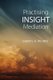 Practising Insight Mediation (Hardcover): Cheryl A. Picard