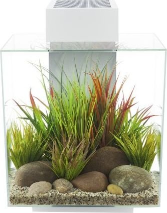 Fluval Edge 42 Led Aquarium 46l Gloss White Kitchen Home Share Your Images