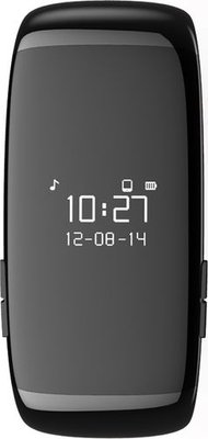 zebracelet2