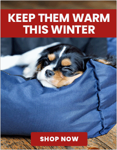 Keep Them Warm This Winter