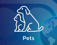 Pets
