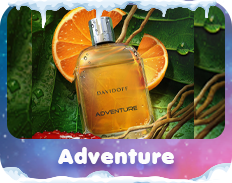 Adventure